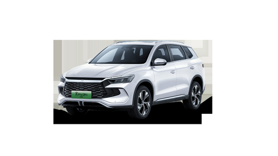 مبيعات بطل النطاق 110 كيلومتر ممتاز الهجينة BYD أغنية برو نصف بطل الإصدار SUV