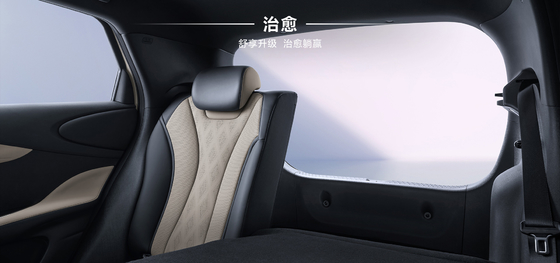 بي واي دي 2025 420 كم دولفين Active Edition EV