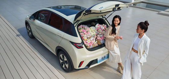 1.5 لتر إزاحة BYD Seal06 DM-i إصدار رائد 120 كم