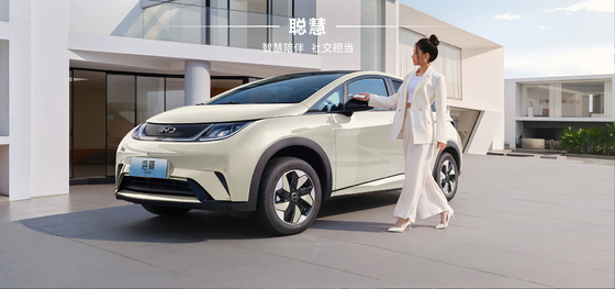 بي واي دي 2025 دولفين 520 كم نايت إصدار EV