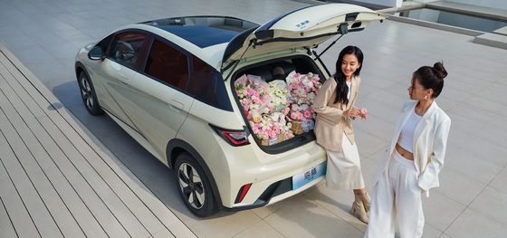 بي واي دي 2025 دولفين 520 كم نايت إصدار EV