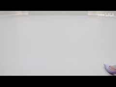 2025 420 كيلومتر الدولفين الإصدار النشط EV